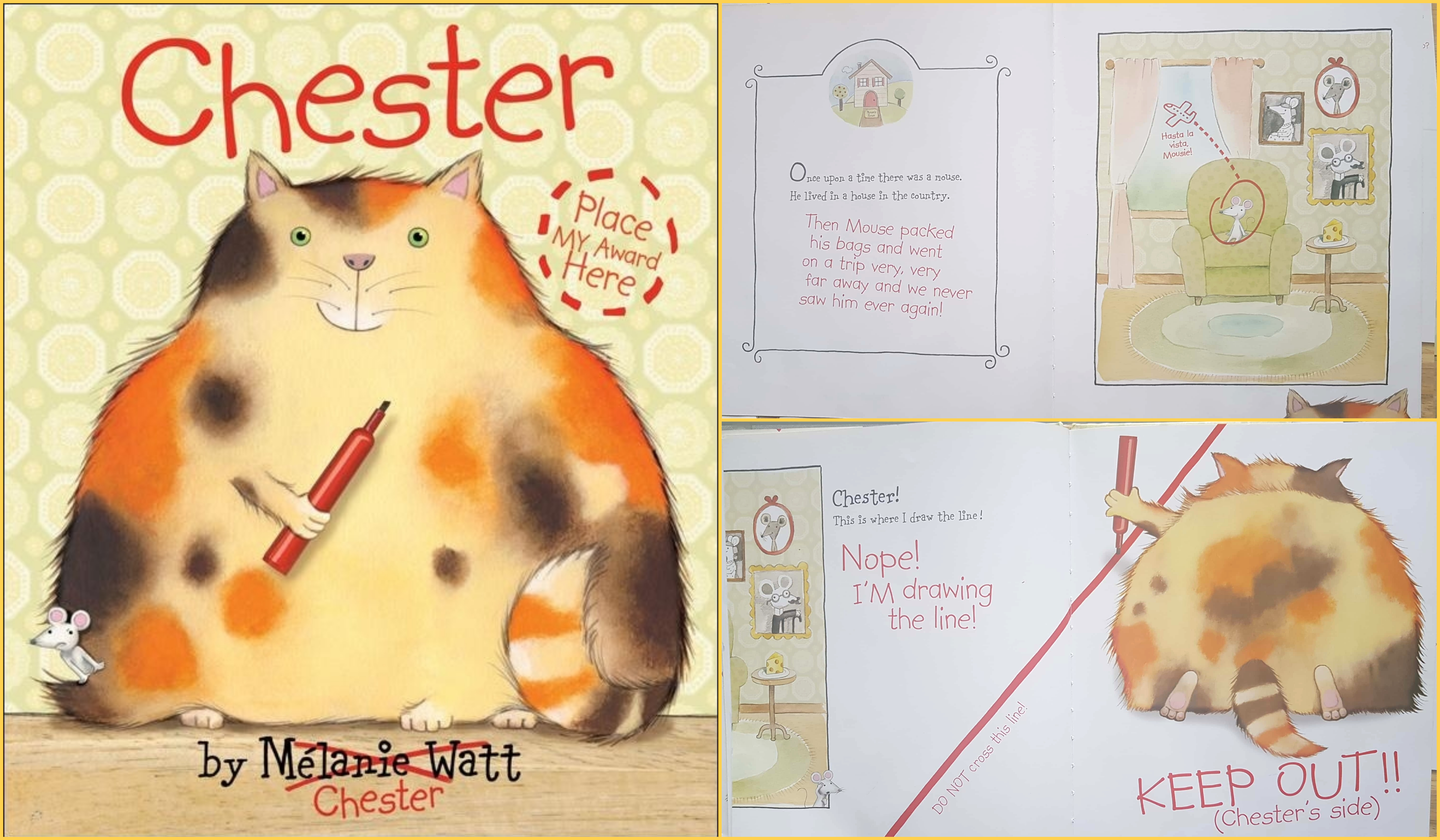 توصية # 10 – تشيستير