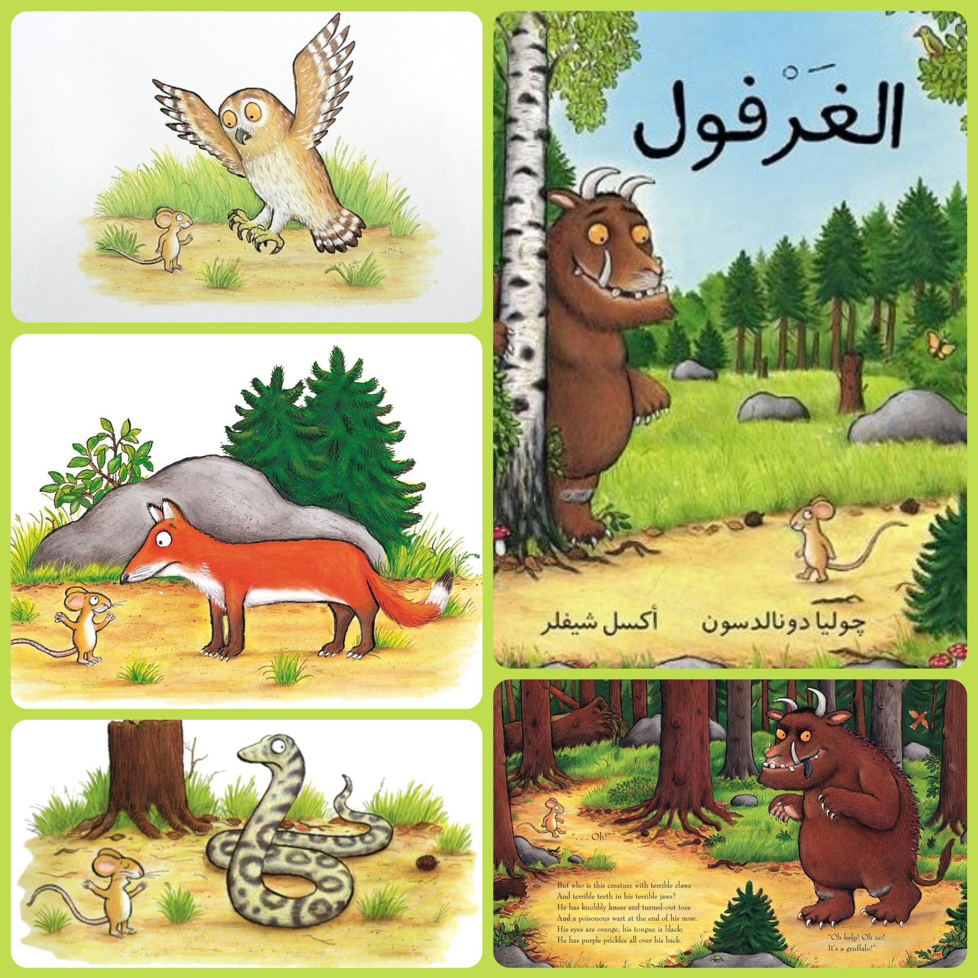 توصية # 48 - الغرفول