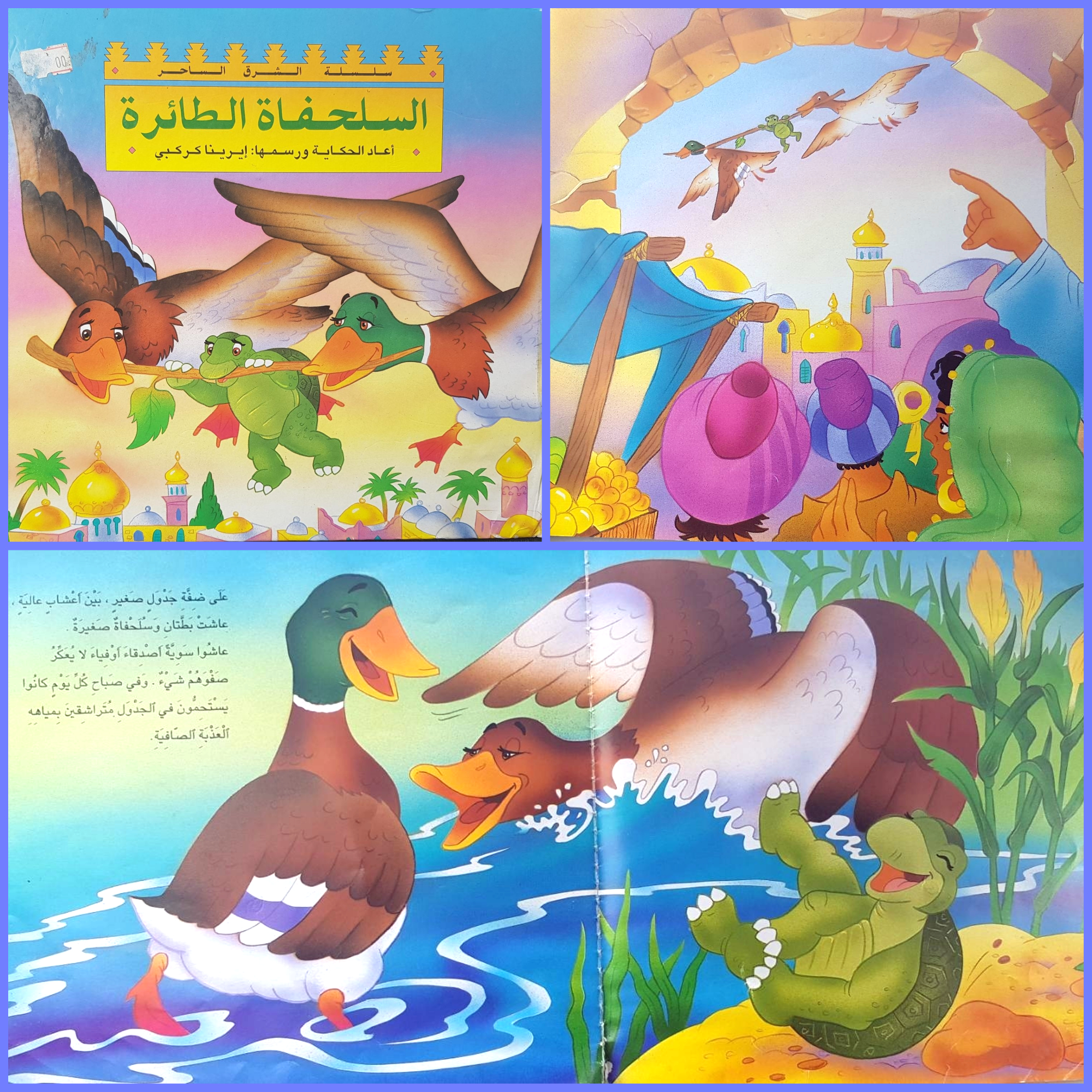 توصية # 9 – السلحفاة الطائرة