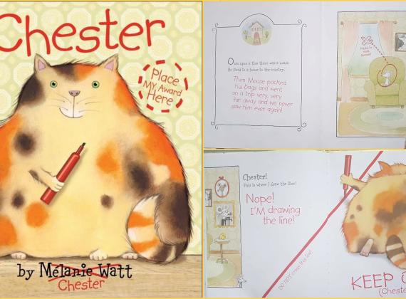 توصية # 10 – تشيستير