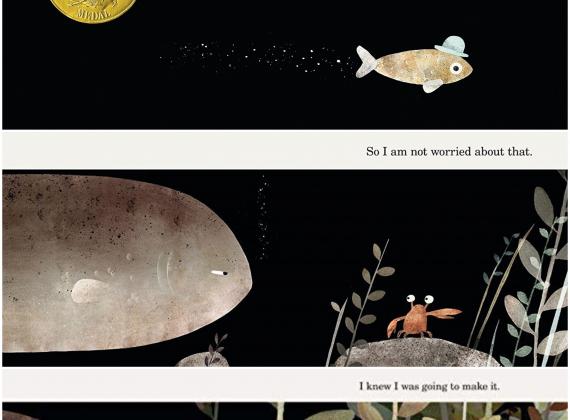 توصية # 63 – هذه ليست قبعتي