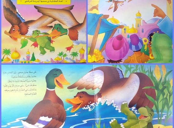 توصية # 9 – السلحفاة الطائرة