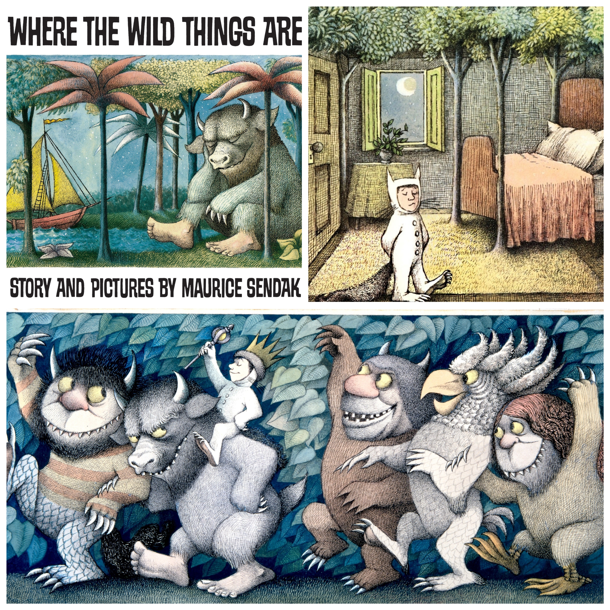 توصية # 29 – إلى عالم الكائنات البرية